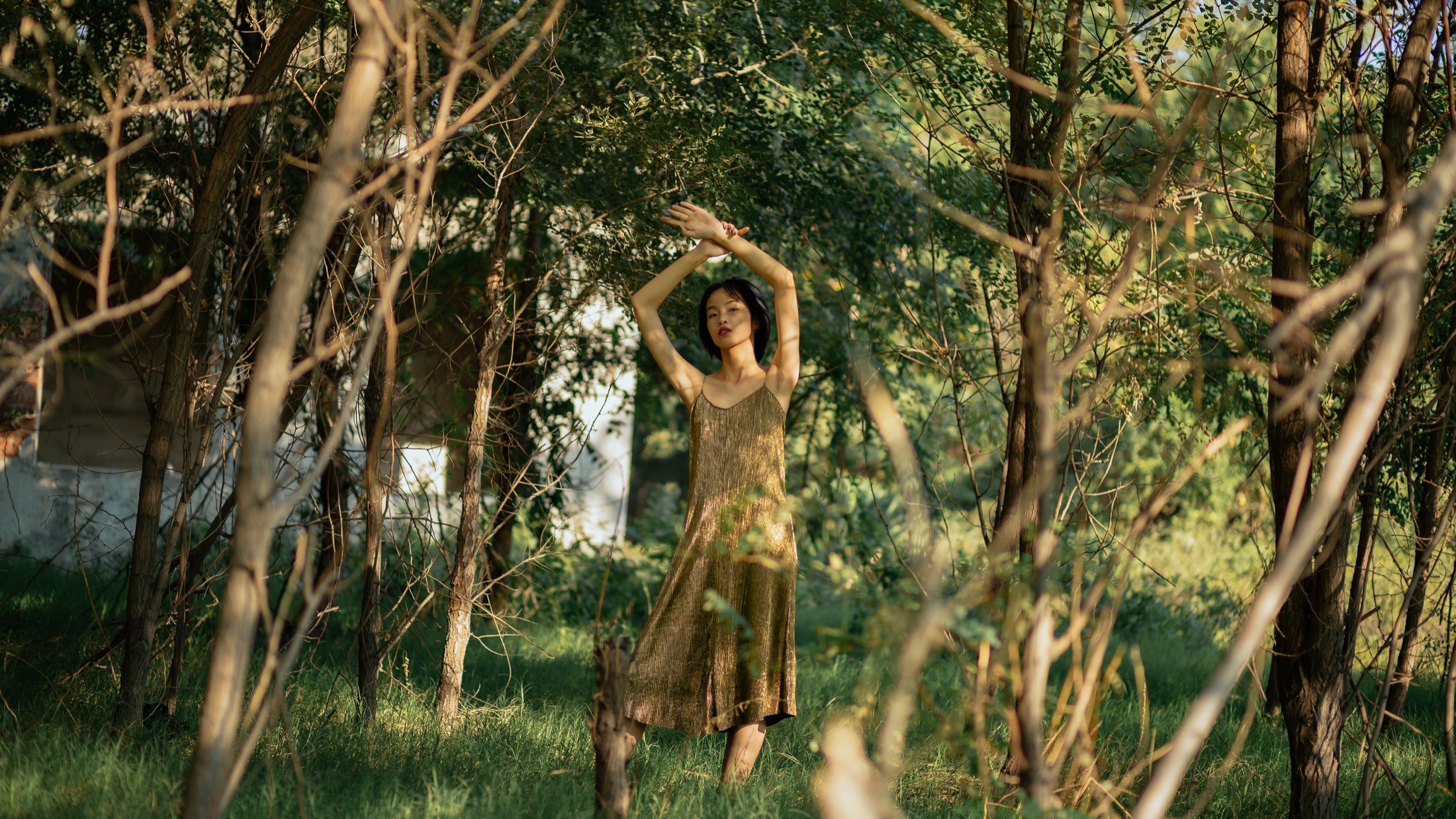 A woman in a gold dress standing among tall trees